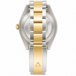 Rolex Datejust Champagne Dial 41MM 116333 Watch